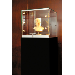 Vitrine d'exposition musée...