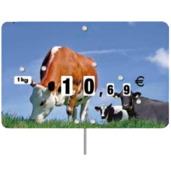 Étiquette Bovines