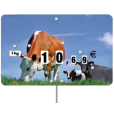 Étiquette Bovines