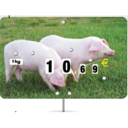 Étiquette Cochon