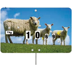 Étiquette Moutons