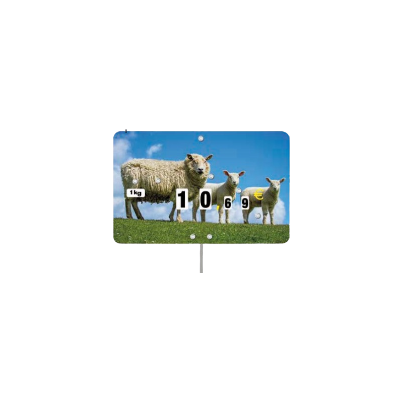 Étiquette Moutons