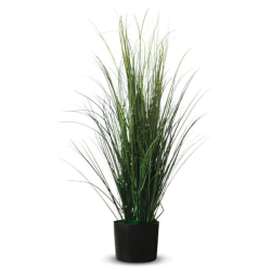 Fagot d'herbe hauteur 80cm