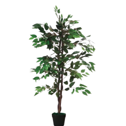 Ficus artificielle