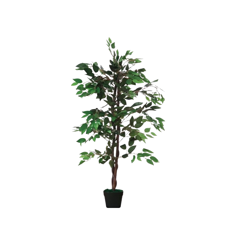 Ficus artificielle