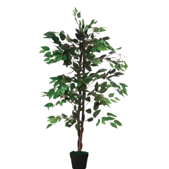 Ficus artificielle