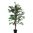 Ficus artificielle