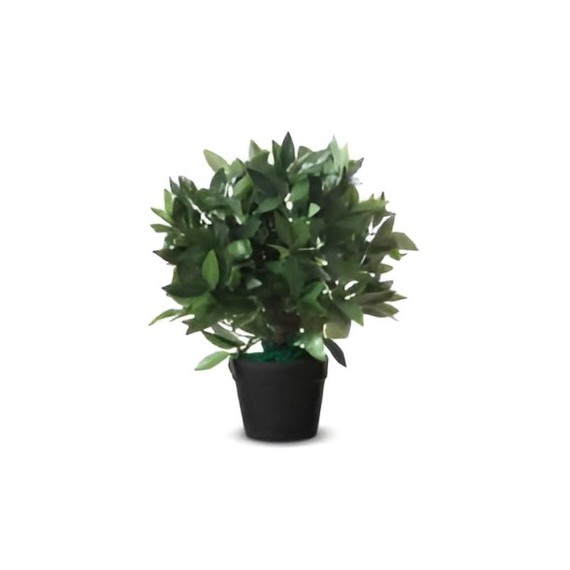 Laurier artificielle hauteur 50cm