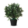 Laurier artificielle hauteur 50cm