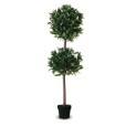 Laurier artificielle hauteur 165cm