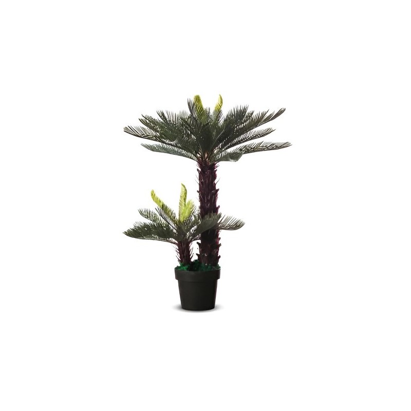 Cycas artificielle