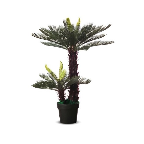 Cycas artificielle