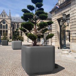 Bac orangerie Ora
