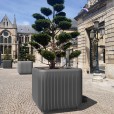 Bac orangerie Ora