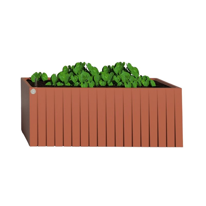Jardinière pédagogique rectangulaire