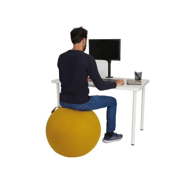Ballon d'assise ergonomique