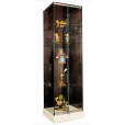 Vitrine d'exposition avec éclairage