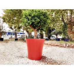 Pot géant rond simple