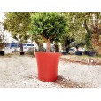 Pot géant rond simple