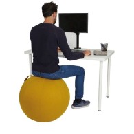 Mobilier Ergonomique